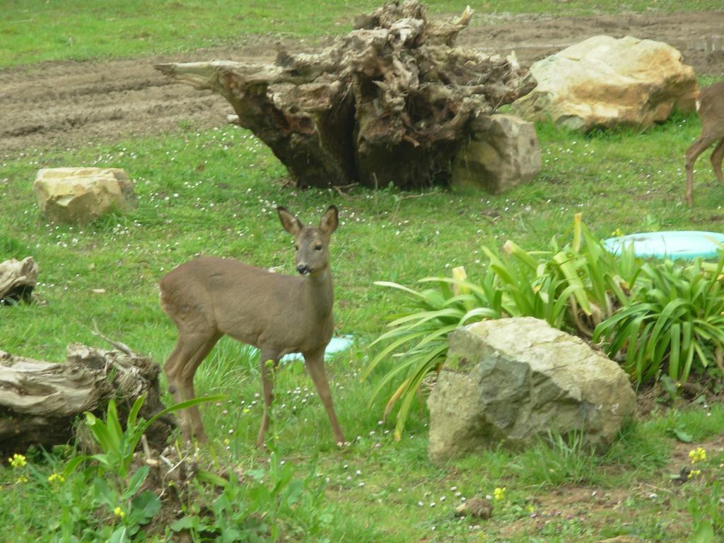 Manoir De Kergrec'H Hotel Plougrescant Luaran gambar